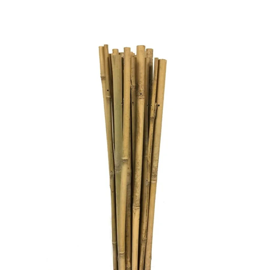 Bamboo Plant Support Sticks