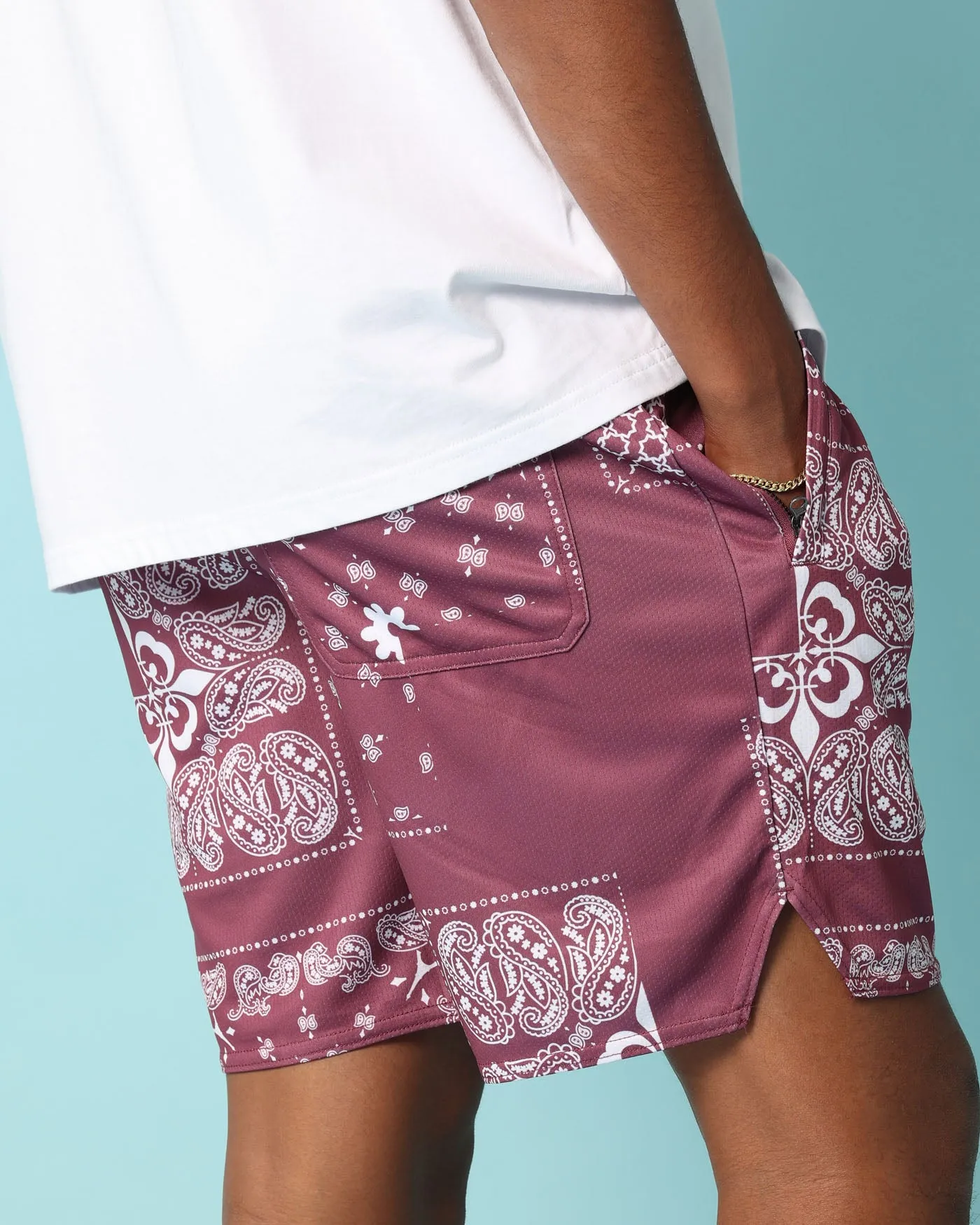 Carré Fragment Mesh Shorts Port