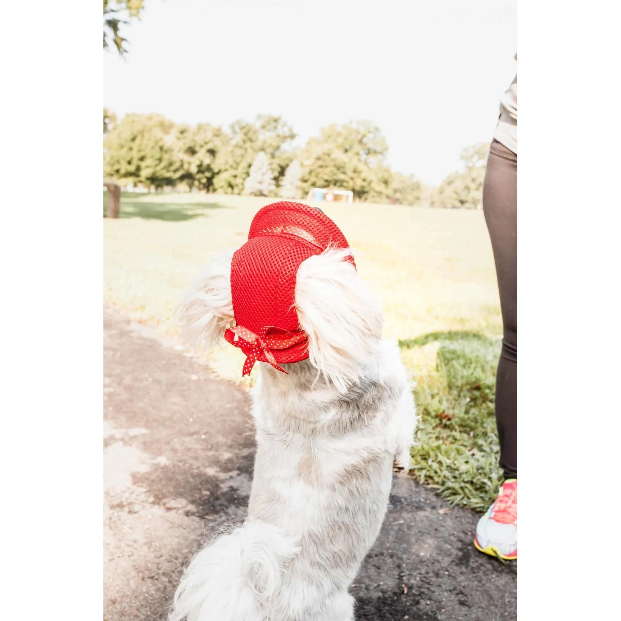 Dog Hat with UV Protection Fashion