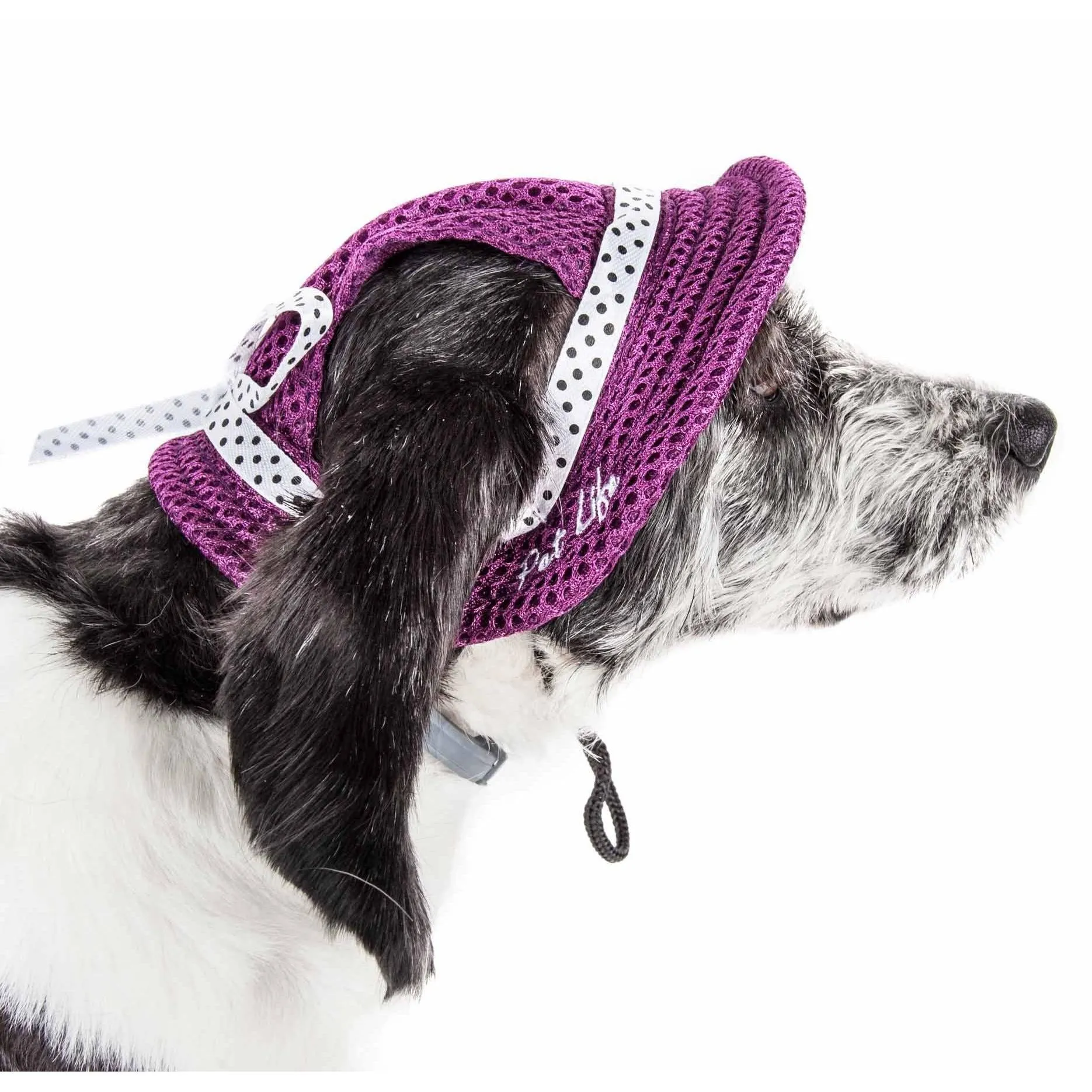 Dog Hat with UV Protection Fashion