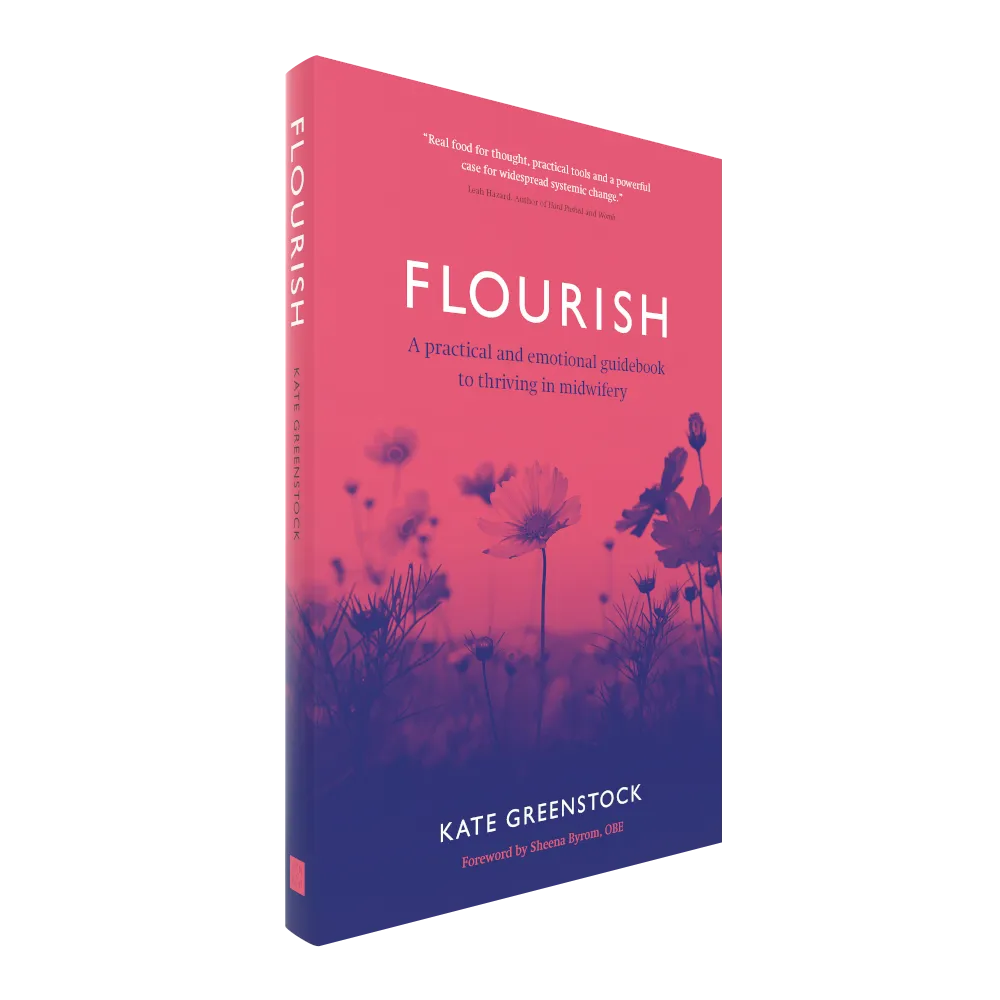 Flourish: A Practical and Emotional Guidebook to Thriving in Midwifery