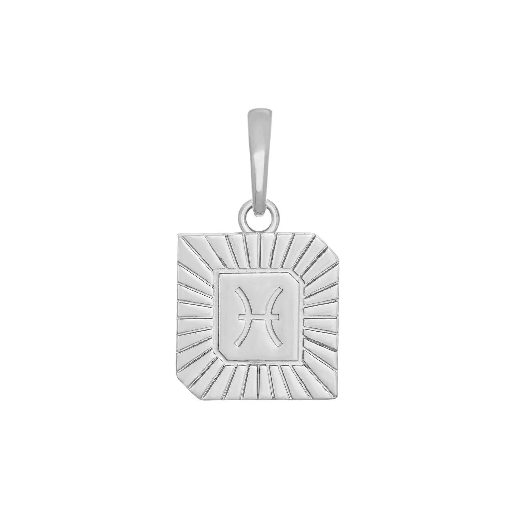 Pisces Zodiac Charm