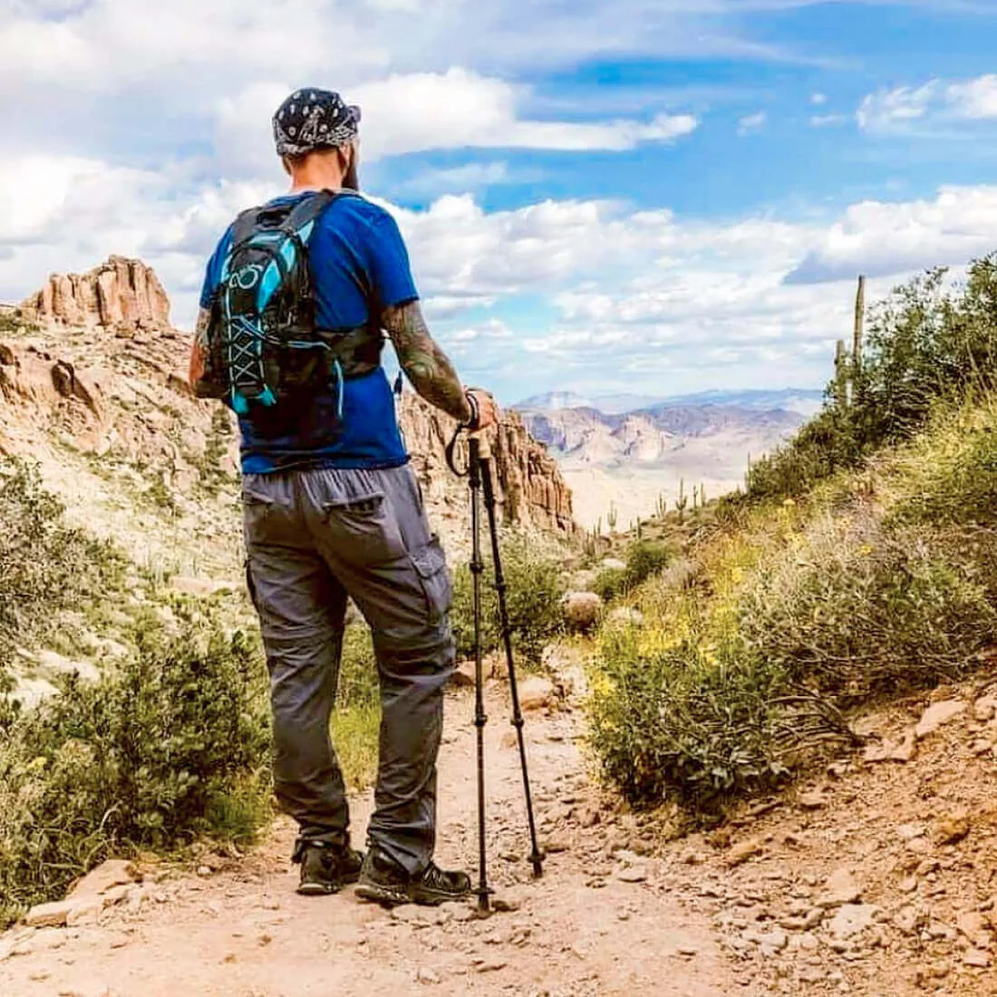 Ultra Strong Trekking Poles